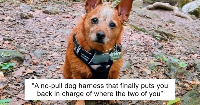 16 Prime Day Deals You Can Shop Right Now Before Everyone Else Figures Out They’re Already Here