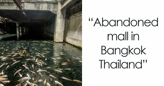 132 Pictures Of ‘Urban Hell’ That Have No Soul And Are Weirdly Eerie (New Pics)