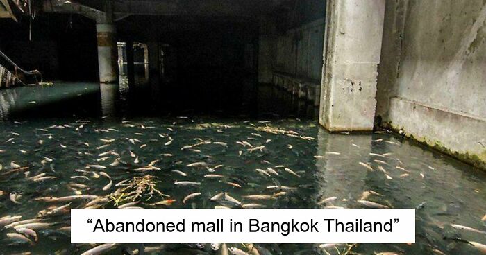 132 Pictures Of ‘Urban Hell’ That Have No Soul And Are Weirdly Eerie (New Pics)