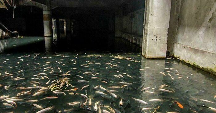 132 Pictures Of ‘Urban Hell’ That Have No Soul And Are Weirdly Eerie (New Pics)
