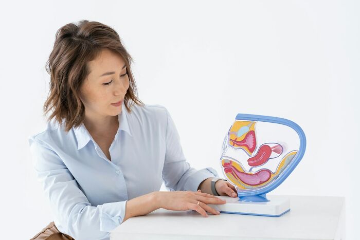 Woman explaining female reproductive anatomy model