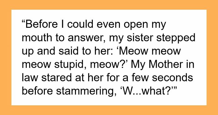 MIL Tries To Humiliate DIL In Public, Sister’s Absurd “Meow” Comeback Ends The Confrontation