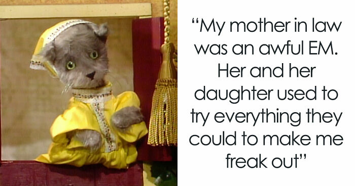 MIL Tries To Humiliate DIL In Public, Sister’s Absurd “Meow” Comeback Ends The Confrontation