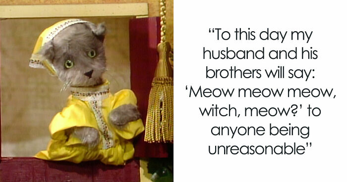 MIL Tries To Humiliate DIL In Public, Sister’s Absurd “Meow” Comeback Ends The Confrontation