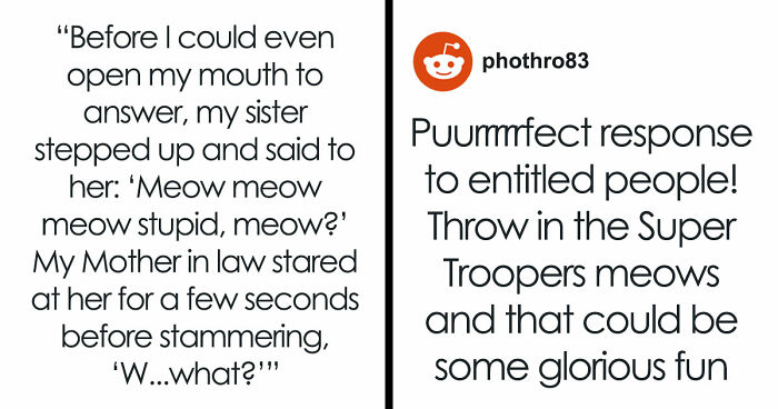 MIL Tries To Humiliate DIL In Public, Sister’s Absurd “Meow” Comeback Ends The Confrontation