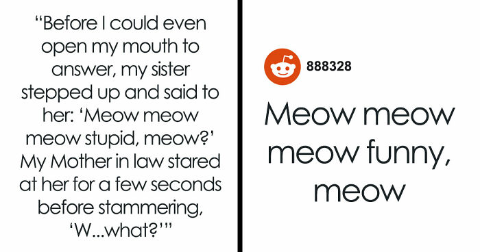 MIL Tries To Humiliate DIL In Public, Sister’s Absurd “Meow” Comeback Ends The Confrontation