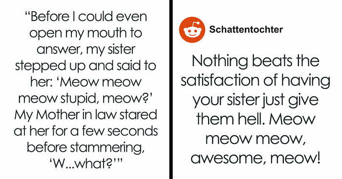 MIL Tries To Humiliate DIL In Public, Sister’s Absurd “Meow” Comeback Ends The Confrontation