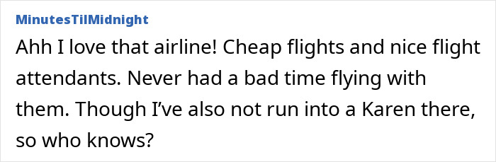 Entitled Mother Tries To Force Toddler Out Of Paid Seat, And The Flight Attendant's Move Is Pure Satisfaction