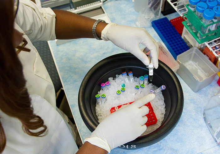 Scientist handling frozen samples in a lab with gloves and ice container Scientist handling frozen samples in a lab with gloves and ice container