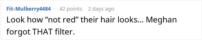 A social media comment discussing parenting concerns over hair color in Meghan Markle’s Father’s Day photo. A social media comment discussing parenting concerns over hair color in Meghan Markle’s Father’s Day photo.
