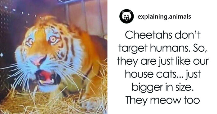 Time Spent Learning About Animals Is Never Wasted, So Here Are 73 Curiosities You Might Appreciate