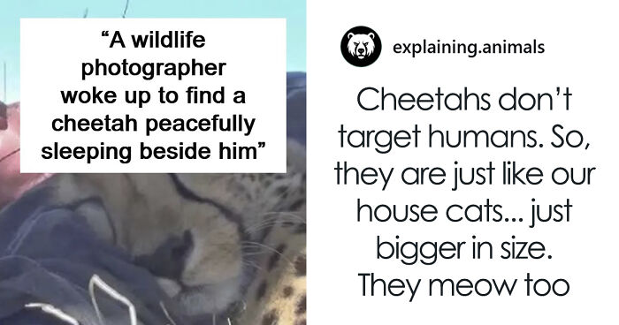 Time Spent Learning About Animals Is Never Wasted, So Here Are 73 Curiosities You Might Appreciate