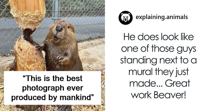 Time Spent Learning About Animals Is Never Wasted, So Here Are 73 Curiosities You Might Appreciate