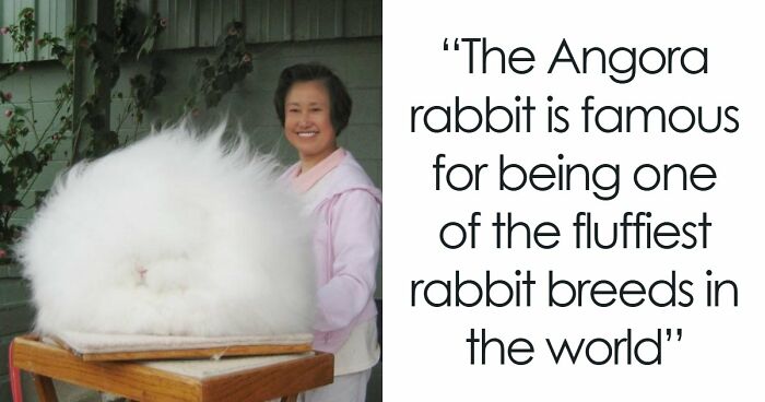 Time Spent Learning About Animals Is Never Wasted, So Here Are 73 Curiosities You Might Appreciate
