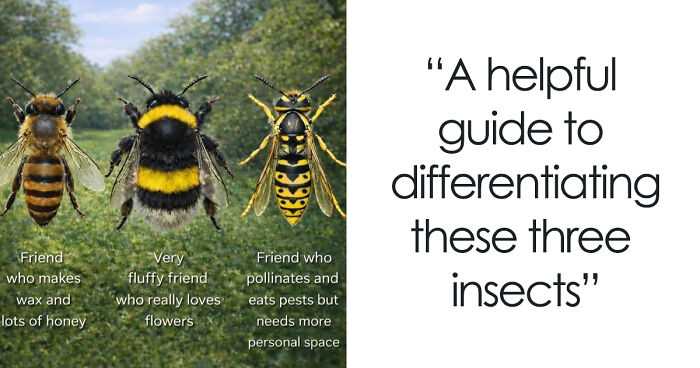 Time Spent Learning About Animals Is Never Wasted, So Here Are 73 Curiosities You Might Appreciate