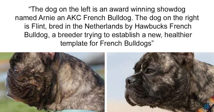 Time Spent Learning About Animals Is Never Wasted, So Here Are 73 Curiosities You Might Appreciate