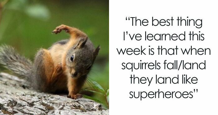 Time Spent Learning About Animals Is Never Wasted, So Here Are 73 Curiosities You Might Appreciate