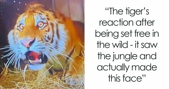 Time Spent Learning About Animals Is Never Wasted, So Here Are 73 Curiosities You Might Appreciate