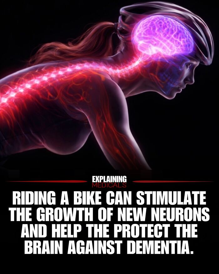 Riding a bike stimulates new neuron growth and protects brain against dementia.