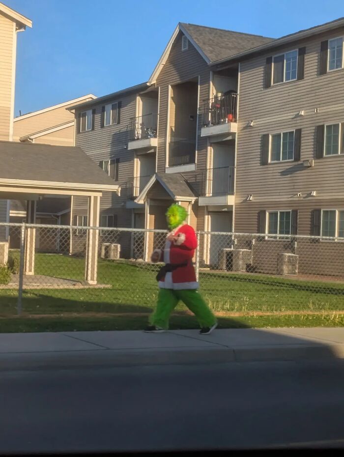 A person dressed in a Grinch costume walking on a sidewalk, an image so bizarre it raises questions.
