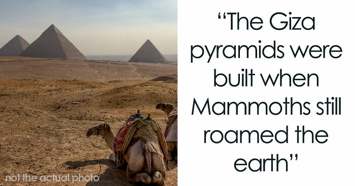 “Wyoming Only Has 2 Escalators”: 52 Facts That Are Somehow True, Despite How Crazy They Sound