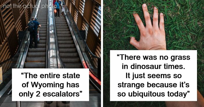 “Wyoming Only Has 2 Escalators”: 52 Facts That Are Somehow True, Despite How Crazy They Sound