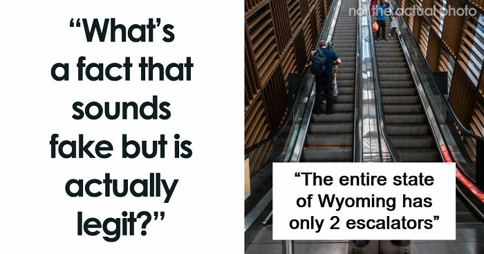“Wyoming Only Has 2 Escalators”: 52 Facts That Are Somehow True, Despite How Crazy They Sound