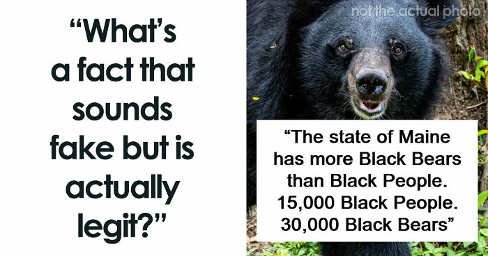 “Wyoming Only Has 2 Escalators”: 52 Facts That Are Somehow True, Despite How Crazy They Sound