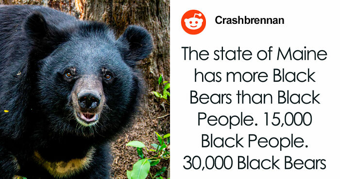 “Wyoming Only Has 2 Escalators”: 52 Facts That Are Somehow True, Despite How Crazy They Sound