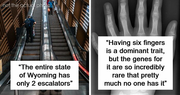 “Wyoming Only Has 2 Escalators”: 52 Facts That Are Somehow True, Despite How Crazy They Sound