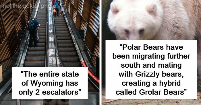 “Wyoming Only Has 2 Escalators”: 52 Facts That Are Somehow True, Despite How Crazy They Sound