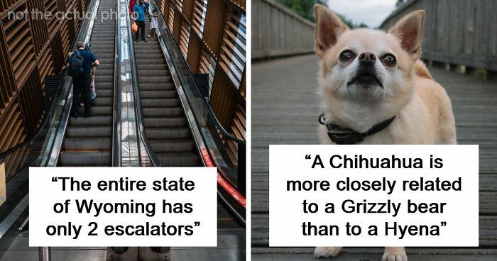 “Wyoming Only Has 2 Escalators”: 52 Facts That Are Somehow True, Despite How Crazy They Sound