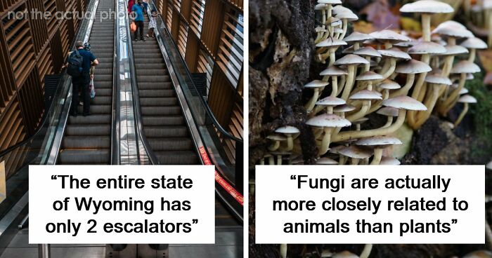 “Wyoming Only Has 2 Escalators”: 52 Facts That Are Somehow True, Despite How Crazy They Sound