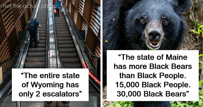 “Wyoming Only Has 2 Escalators”: 52 Facts That Are Somehow True, Despite How Crazy They Sound