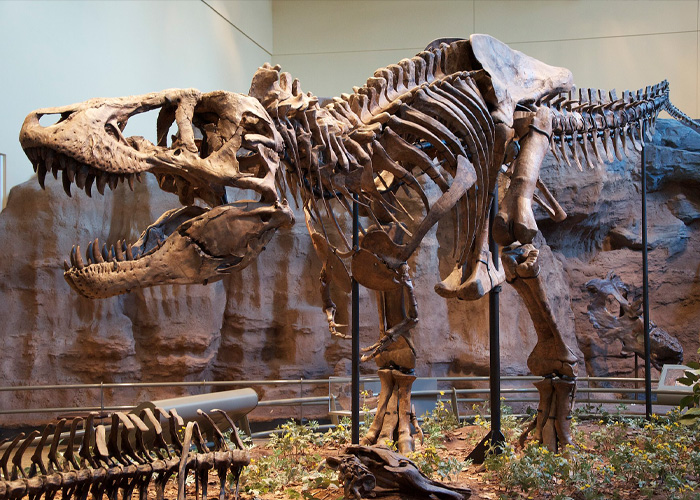 A Fashion Label Claims To Have Lab-Grown A "T-Rex Leather" Handbag But Now They Can't Find Anyone To Buy It A Fashion Label Claims To Have Lab-Grown A "T-Rex Leather" Handbag But Now They Can't Find Anyone To Buy It