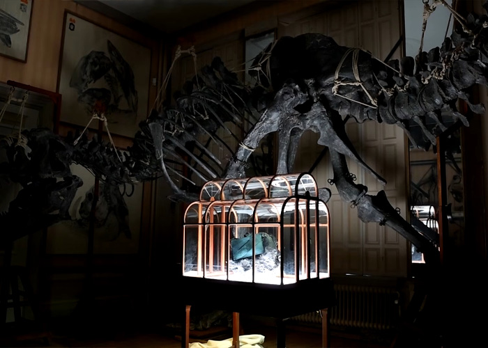 A Fashion Label Claims To Have Lab-Grown A "T-Rex Leather" Handbag But Now They Can't Find Anyone To Buy It A Fashion Label Claims To Have Lab-Grown A "T-Rex Leather" Handbag But Now They Can't Find Anyone To Buy It
