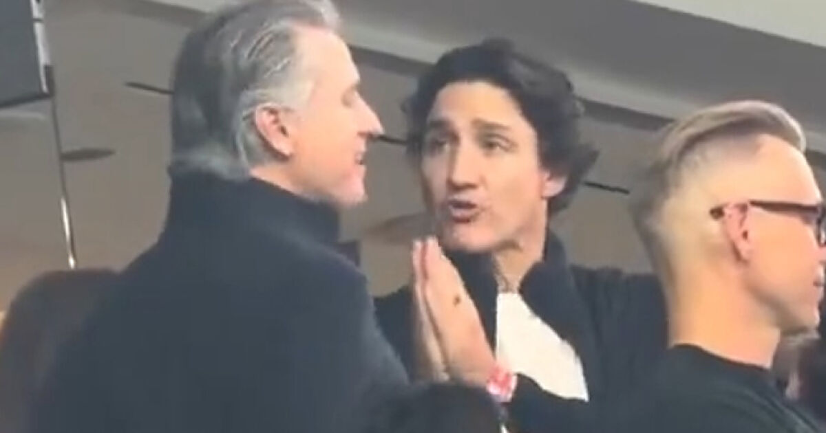Gavin Newsom’s Jaw‑Dropping Confession To Justin Trudeau At World Cup Exposed As He Assumed No One Was Looking | Bored Panda