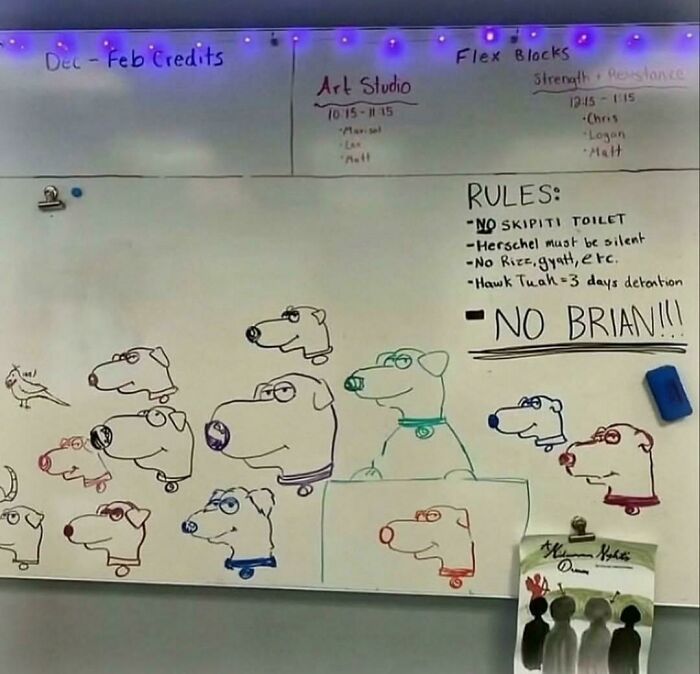 Funny random image with cartoon dog drawings and rules on a whiteboard
