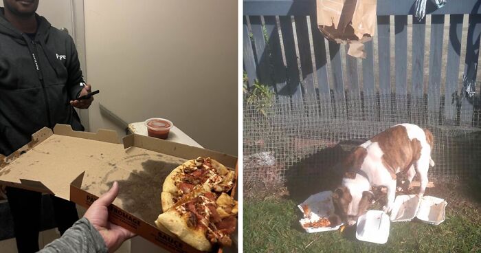 68 Funny Or Infuriating Food Delivery Fails That Might Inspire You To Cook Something At Home