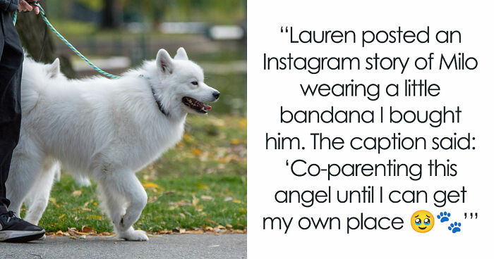 30YO Uses Woman’s Rescue Dog To Meet Men, Owner Uncomfortable Watching Pup Turn Into Dating Prop