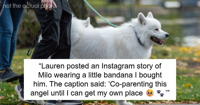 Woman Lets Lonely Friend Be With Her Dog, She Starts Claiming The Dog Is “Theirs”, Woman Cuts Ties