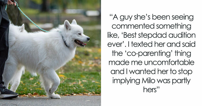 30YO Uses Woman’s Rescue Dog To Meet Men, Owner Uncomfortable Watching Pup Turn Into Dating Prop