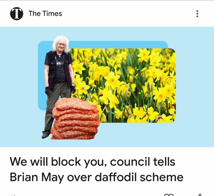 Brian May told by council they will block him over daffodil scheme