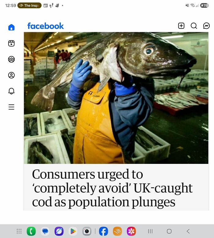 Worker holds large cod fish in fish market amid UK cod population decline