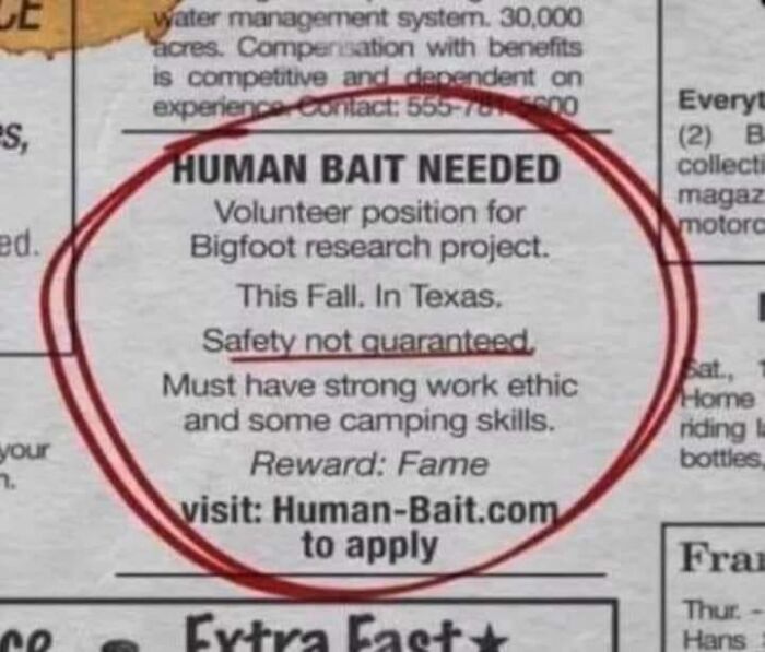 Funny local newspaper ad seeking human bait for Bigfoot research