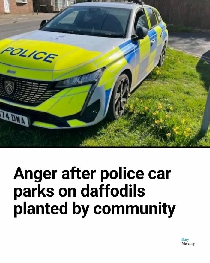 Police car parked on grass with community-planted daffodils causing anger