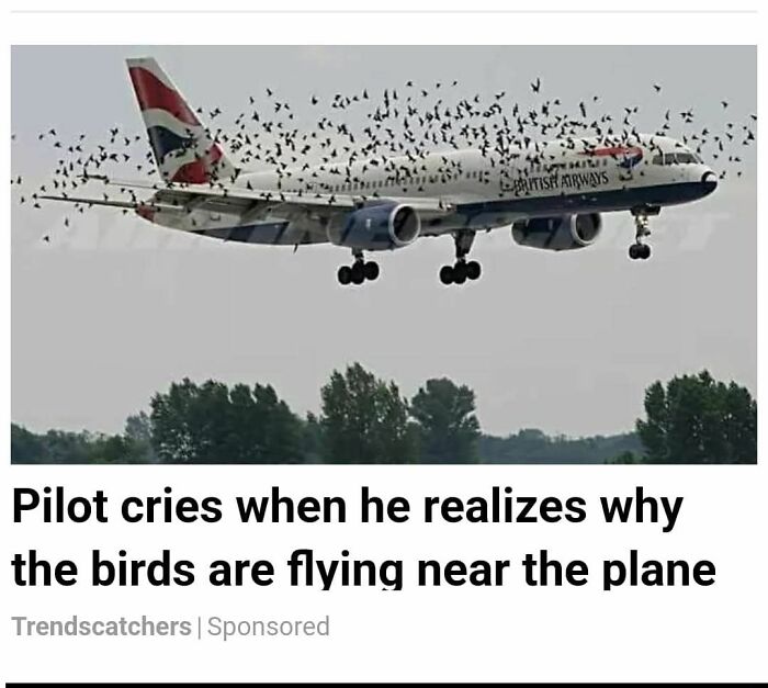 Pilot upset as birds fly dangerously near British Airways plane