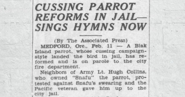 56 Truly Captivating Local Newspaper Headlines That Are So Ridiculous (New Pics)