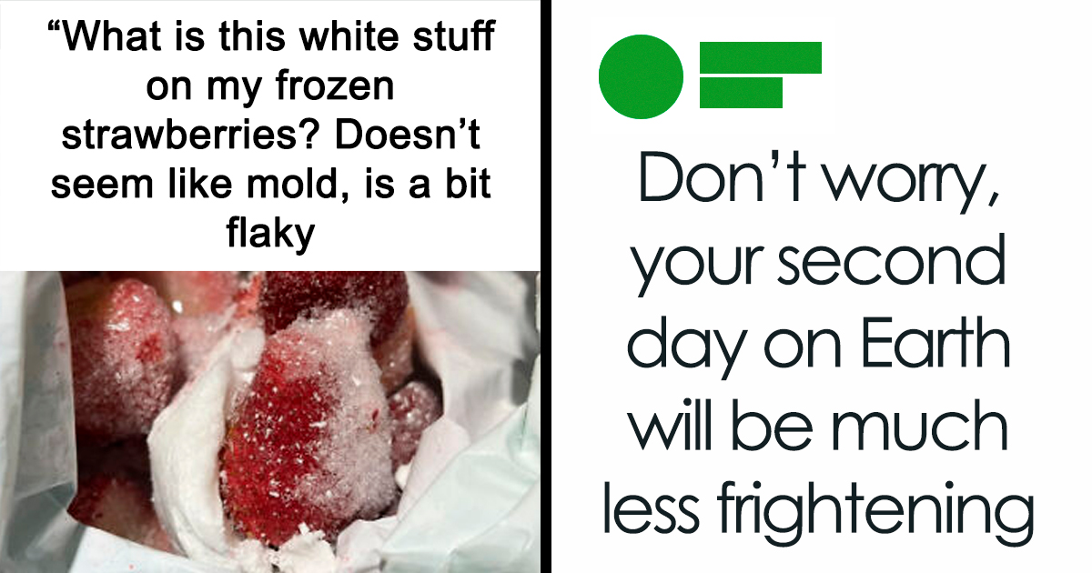 107 Brutal Roasts The Victims Probably Still Think About