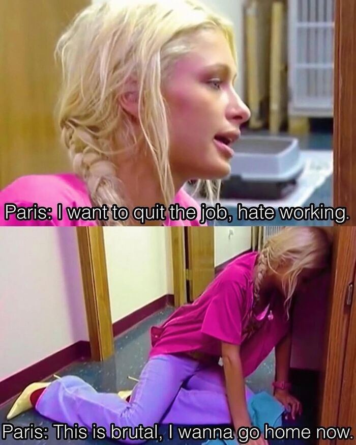 Funny posts satirizing corporate life: Paris Hilton in a meme, expressing a desire to quit her job and go home.